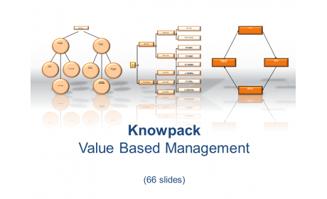 Value Based Management - 66 diagrams in PDF